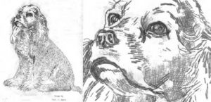 paul-smith-typewriter-art2-550x266